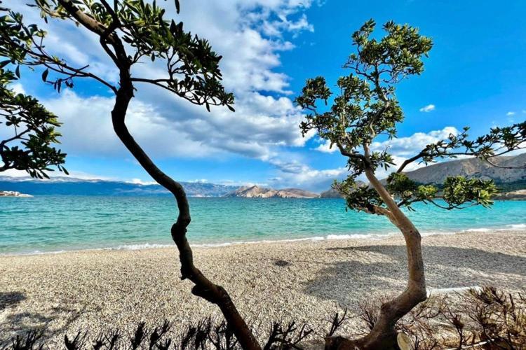 Art Jurandvor Apartment Baska (Krk)